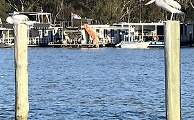 Pelicans Perch